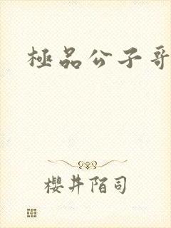 极品公子哥封面