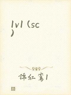 1v1 (sc)