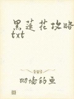黑莲花攻略手册txt