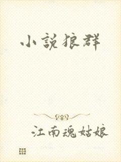 小说狼群