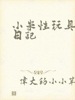 小米性玩具羞辱日记