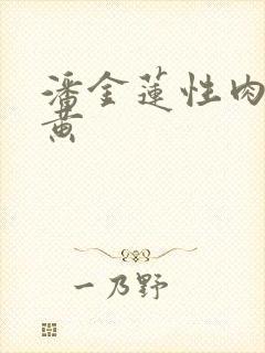 潘金莲性肉欲全黄封面