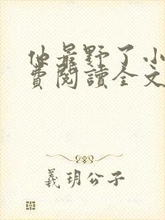 他最野了小说免费阅读全文封面