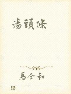 汤头条