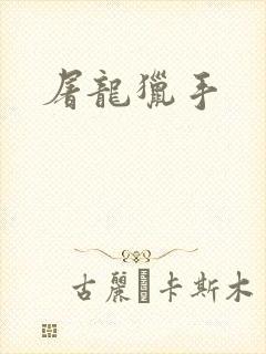 屠龙猎手封面