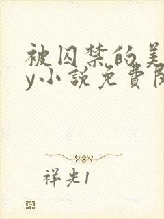 被囚禁的美人by小说免费阅读
