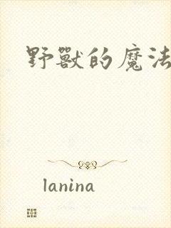 野兽的魔法师