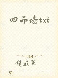 四面墙txt