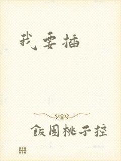 我要插