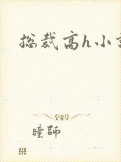 总裁高h小说