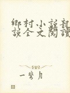 乡村小说龙根小说全文阅读封面