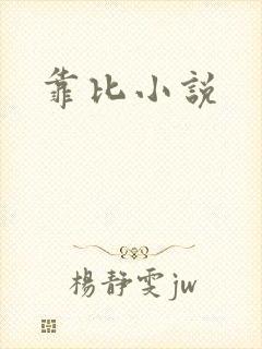 靠比小说