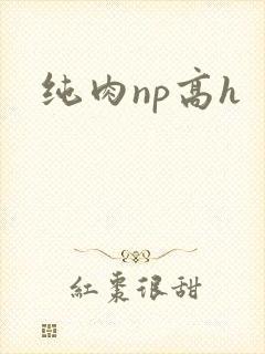 纯肉np高h