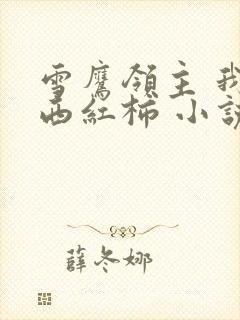 雪鹰领主 我吃西红柿 小说