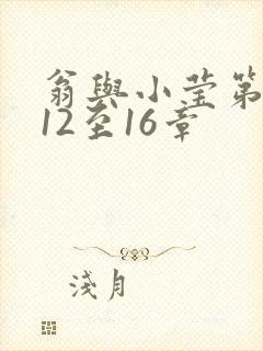 翁与小莹第十部12至16章封面