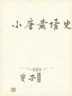 小唐黄倩史封面