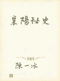 襄阳秘史