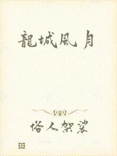 龙城风月封面