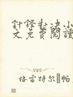 针锋对决小说全文免费阅读完整版封面