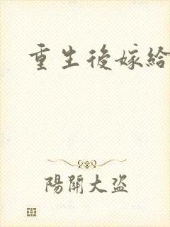 重生后嫁给三叔封面