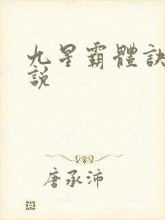 九星霸体诀 小说