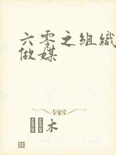 六零之组织给我做媒