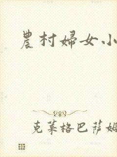 农村妇女小说封面