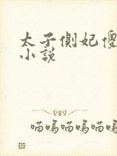太子侧妃傻乎乎小说