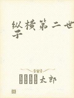 纵横第二世界宽子