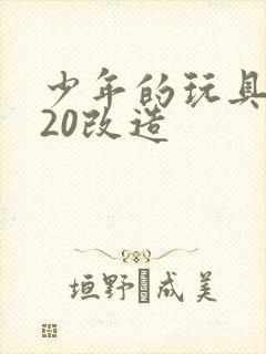 少年的玩具1一20改造