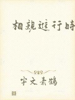 相亲进行时
