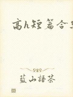 高h短篇合集封面