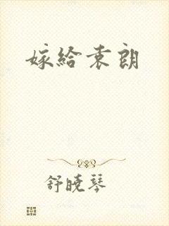 嫁给袁朗