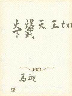 火爆天王txt下载