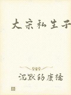 大宋私生子封面