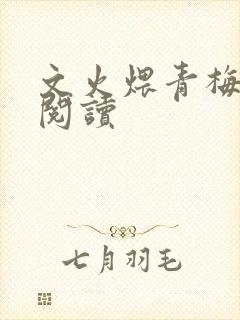 文火煨青梅免费阅读封面