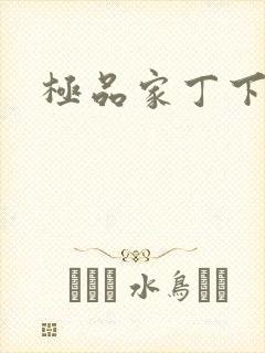 极品家丁下载