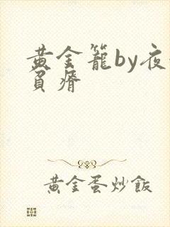 黄金笼by夜很贫瘠封面
