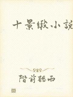 十景缎小说封面