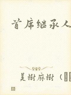 首席继承人封面
