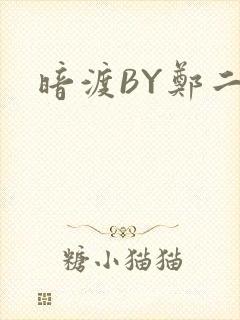 暗渡BY郑二封面