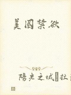 美国禁欲