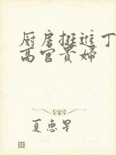 厨房挺进丁字裤高官贵妇封面