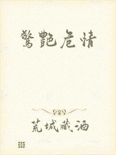 惊艳危情封面