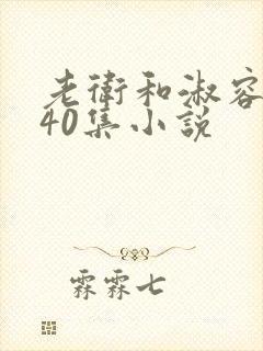 老卫和淑容1-40集小说