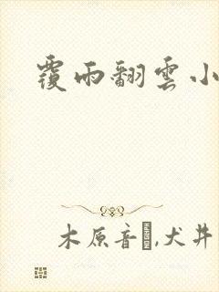 覆雨翻云小说