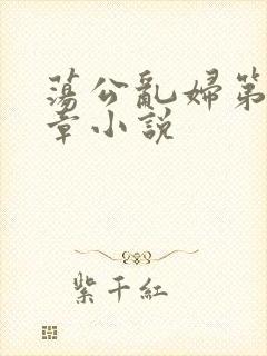 荡公乱妇第51章小说