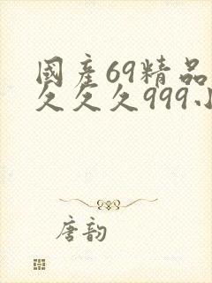 国产69精品久久久久999小说