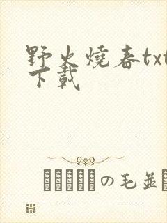 野火烧春txt下载