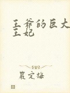 王爷的巨大进入王妃封面